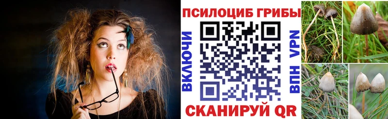 KRAKEN маркетплейс  Городовиковск  Псилоцибиновые грибы Psilocybe 